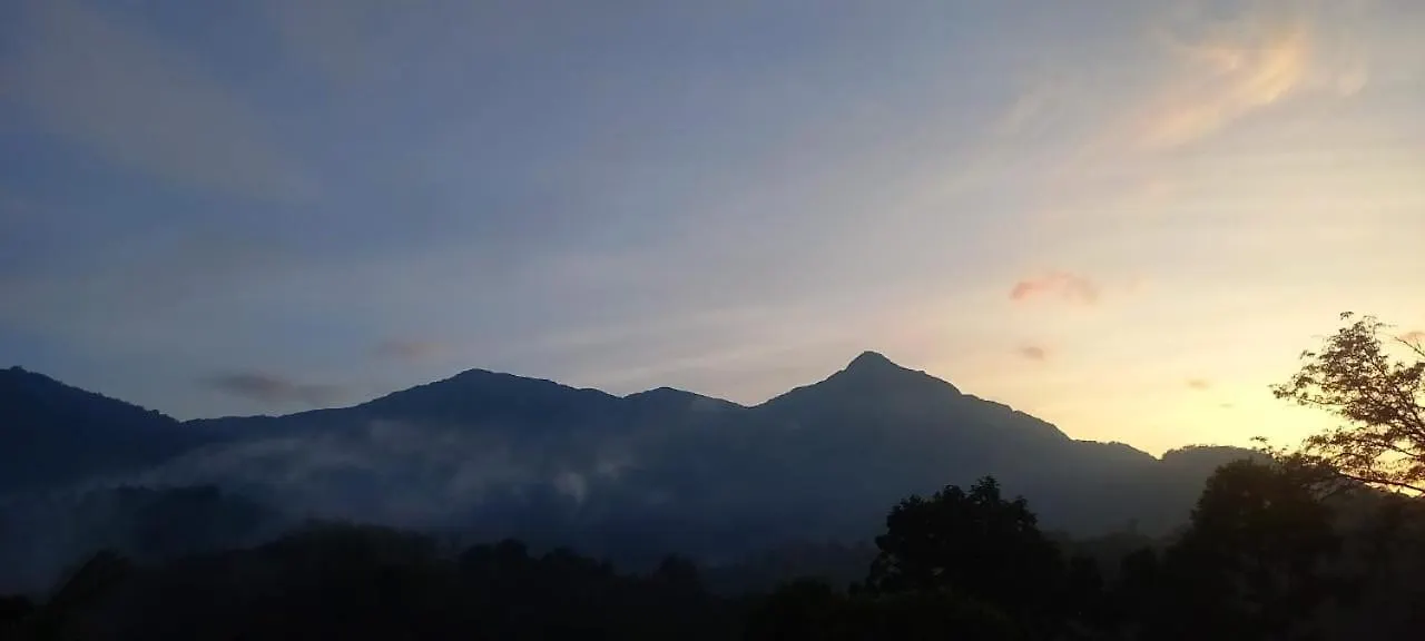 Green Magic Riverside Resort Munnar