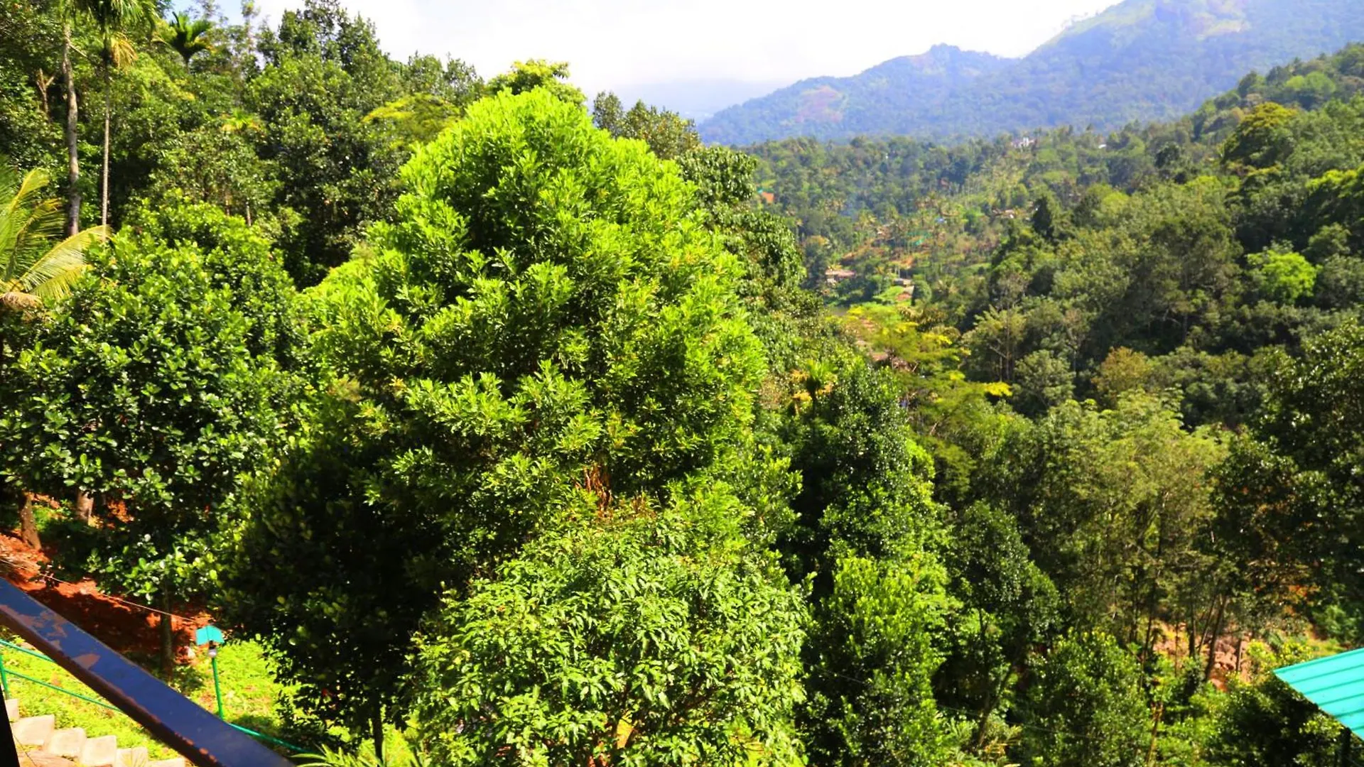 Green Magic Riverside Resort Munnar
